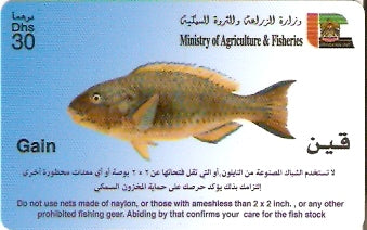 UAE-P-085 - Peixe - Gain