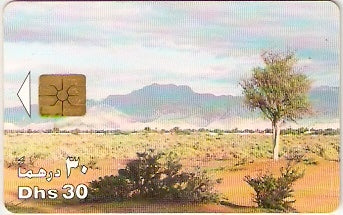 UAE-135 - Descampado