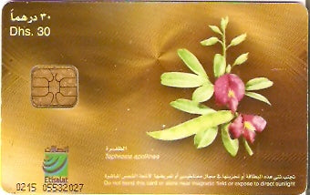 UAE-221 - Flores - 12