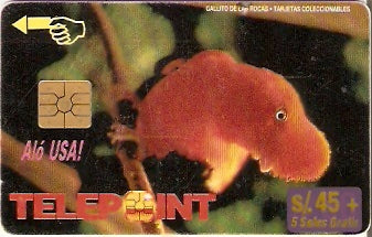PER-TE-059 - Gallito de las Rocas