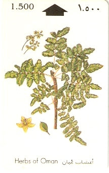 OMN-026C - Frankincense