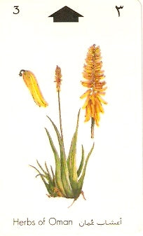 OMN-026A - Aloe Vera