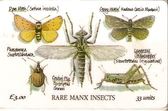MAN-080 - Insetos Raros