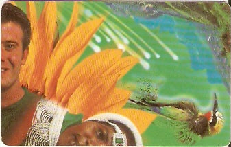 SAF-094a - Puzzle - verde - 2/4