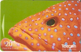 NZG-125 - Peixe