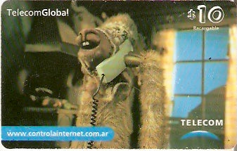 ARG-P-006 - Lhama 10