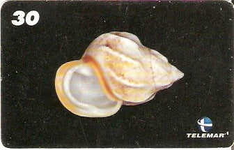 AM-072 - Conchas - 7/7