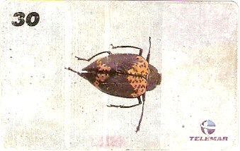 AM-148 - Insetos - 14/21