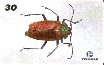 AM-137 - Insetos - 03/21