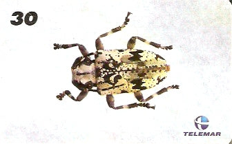 AM-140 - Insetos - 06/21