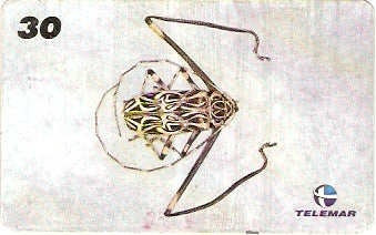 AM-154 - Insetos - 20/21