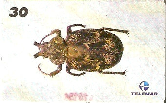 AM-146 - Insetos - 12/21