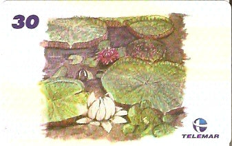 AM-334 - Fauna e Flora - I1 - 2