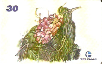 AM-336 - Fauna e Flora - I1 - 4