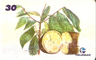 AM-338 - Fauna e Flora - I2 - 01/12