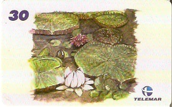 AM-339 - Fauna e Flora - I2 - 02/12