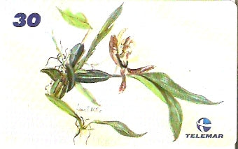 AM-342 - Fauna e Flora - I2 - 05/12