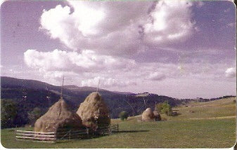 ROM-160 - Campo