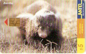 URU-C-095a - Zorrillo
