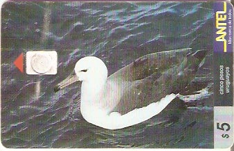 URU-C-074a - Albatros