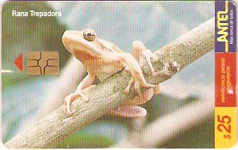 URU-C-097a - Rana Trepadora
