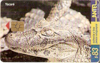 URU-C-086a - Yacaré