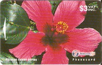 FIJ-151 - Hibisco 1