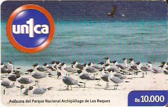 VEN-U-0810 - Aves