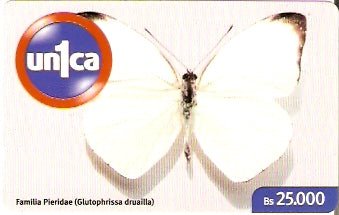 VEN-U-0652 - Borboleta 11