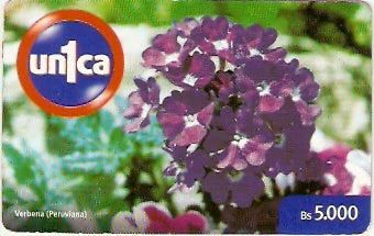 VEN-U-0084 - Verbena