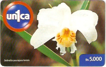 VEN-U-0082 - Orquídea - 2