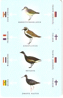 NET-CG07-3 -  Pássaros - 2