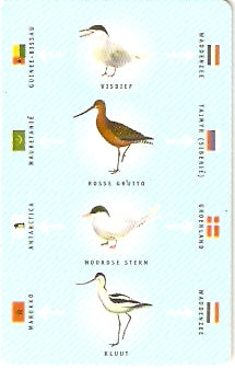 NET-CG07-2 -  Pássaros - 1