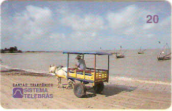 PA-047 - Algodoal