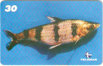 PA-546 - Peixes - 1/7