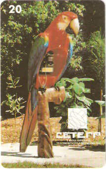 CET-11M - Arara Vermelha - B1