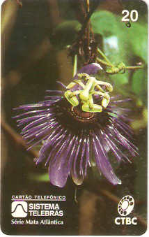 CTBC-007M - Flor de Maracujá