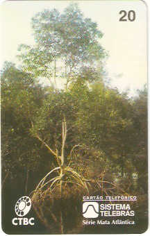 CTBC-017M - Manguezal