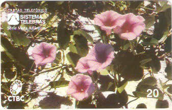 CTBC-020M - Ipoméia