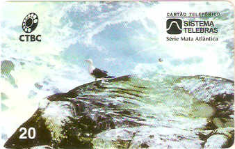 CTBC-021M - Ano dos Oceanos