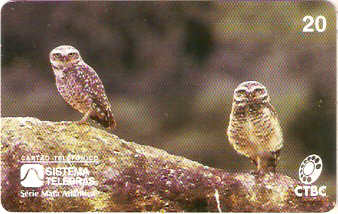 CTBC-022M - Coruja do Campo