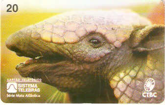 CTBC-026M - Tatu