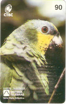 CTBC-029M - Papagaio