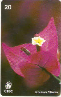 CTBC-034M - Primavera