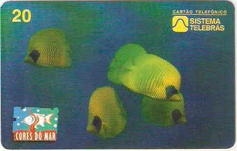 CTBC-107M - Cores do Mar