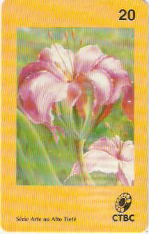 CTBC-118M - Flor ao Vento