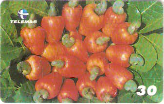 MA-170 - Frutas - 08/20