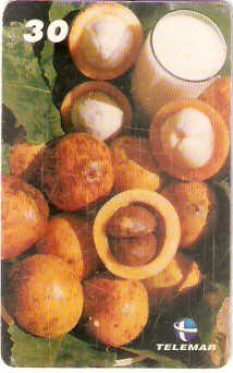 MA-172 - Frutas - 10/20