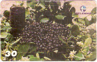 MA-173 - Frutas - 11/20