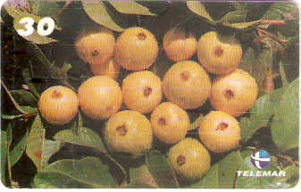 MA-179 - Frutas - 17/20